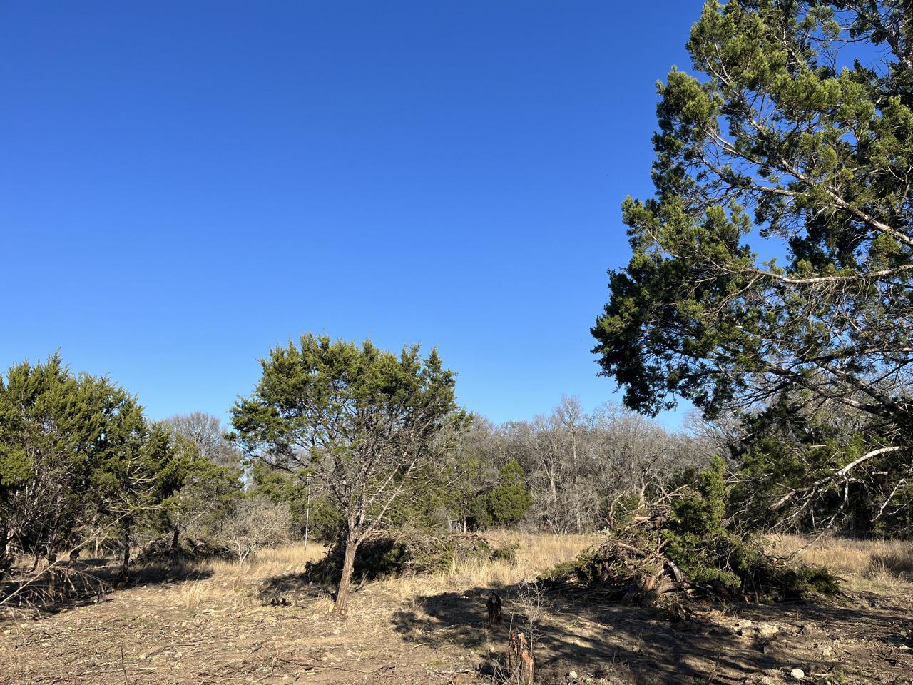 Completed hand-cut shaded fuel break to reduce wildfire risk on a site with dense juniper/mesquite overstory in Bexar County, Texas..